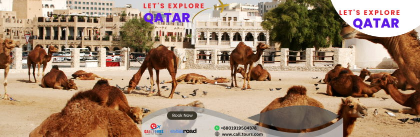2 Nights, 3 Days Qatar_ Al Wakrah Tour Package