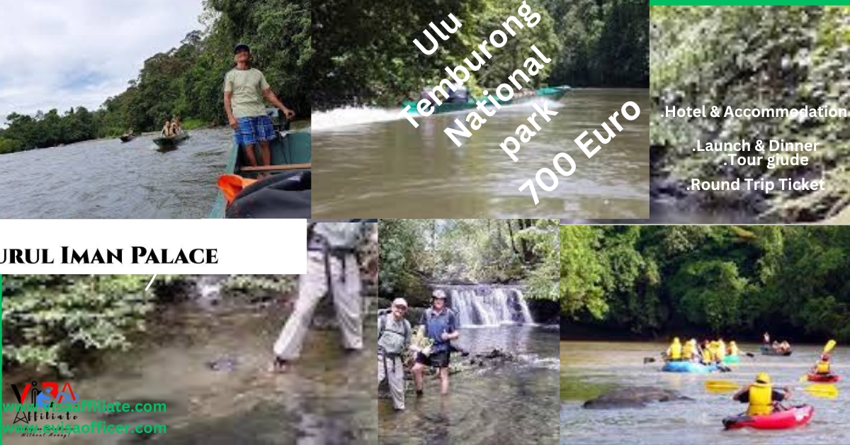 4 Night 5 Days Ulu Temburong National park
