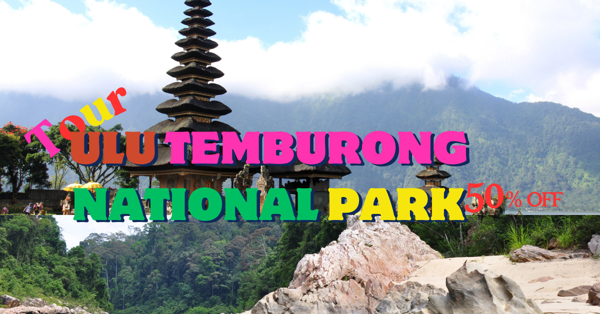 4 Day tour Ulu Temburong National Park in Brunei